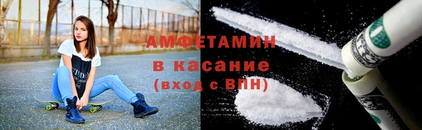 индика Волоколамск