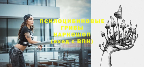 амф Горнозаводск