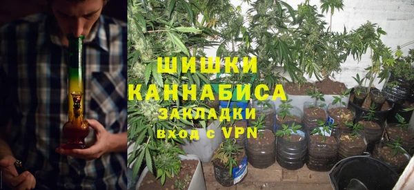 индика Волоколамск