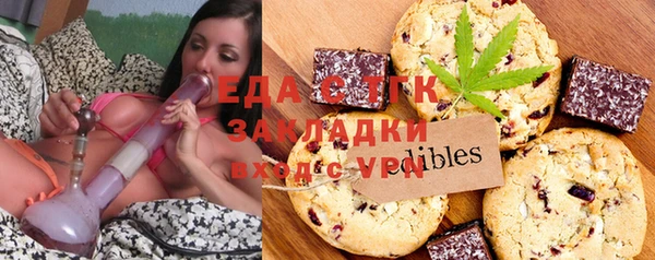 индика Волоколамск
