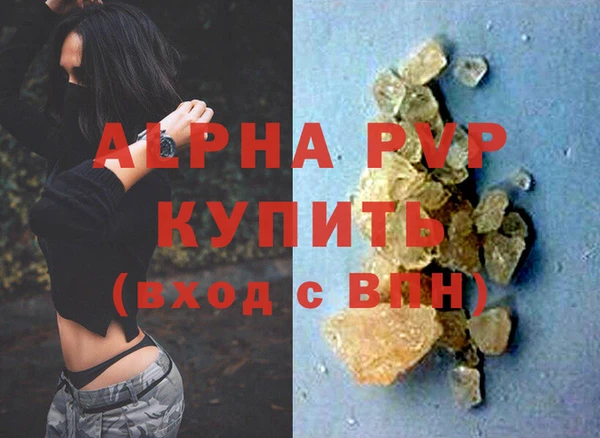 индика Волоколамск