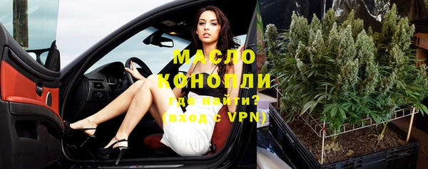 индика Волоколамск