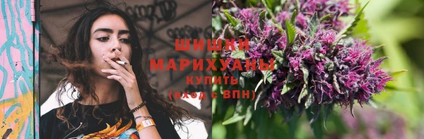 амф Горнозаводск