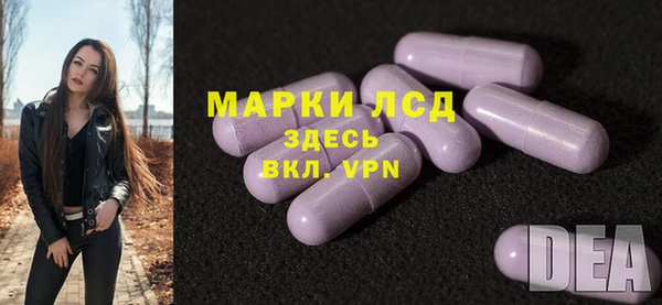 индика Волоколамск